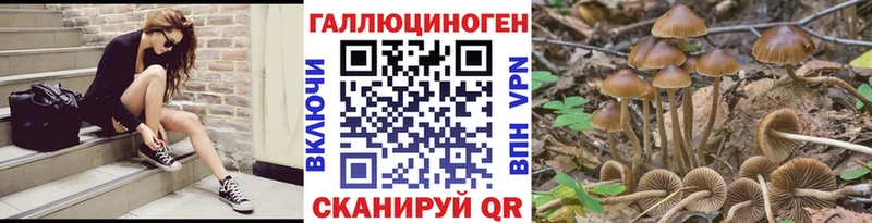 даркнет сайт Павлово Галлюциногенные грибы MAGIC MUSHROOMS
